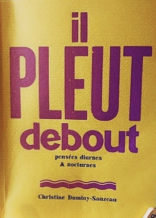 Il PLEUT debout(1) Il PLEUT debout(1)