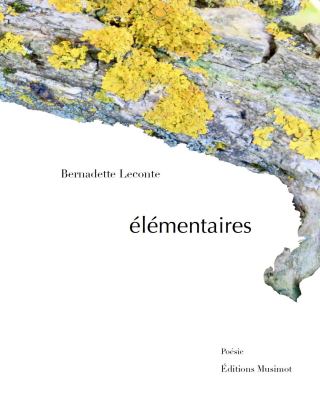 E-le-mentaire-couverture E-le-mentaire-couverture