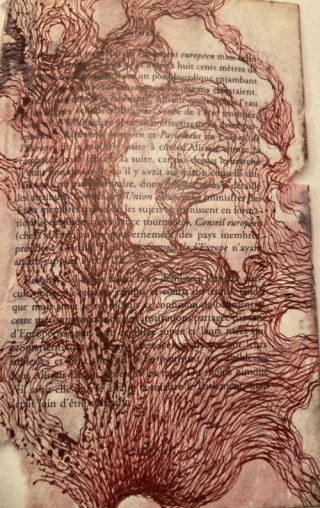 Florence Saint-Roch | Cartographies