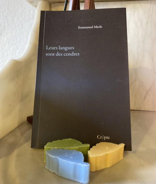 Emmanuel Merle | Leurs langues sont des cendres
