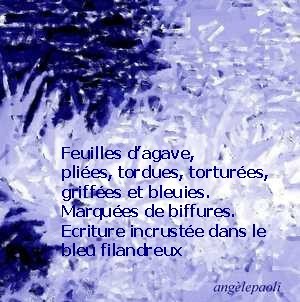 Virginia Woolf | lectures croisées