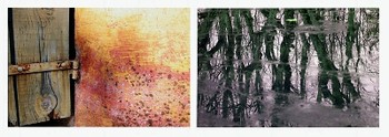 Des images d'avant le langage Des_images_davant_le_langage