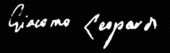 Firma Leopardi Firmaleopardi_1