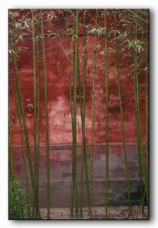 Angèle Paoli | Rouges  de Chine 19