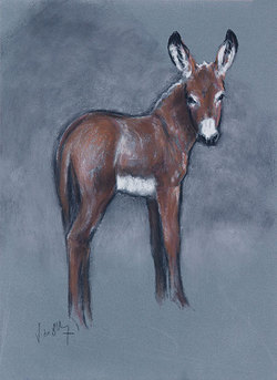 Angèle Paoli | Manfarinu, l&rsquo;âne de Noël, II