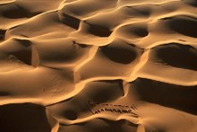 Yann Arthus-Bertrand, Caravane de dromadaires en Mauritanie Yarthusbertrand
